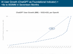 其使用内利用时间两年