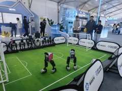 3至27岁的年轻开辟者占比20%